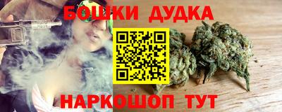 гидра Кандалакша